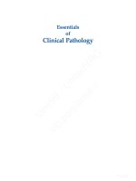 Ebook Essentials of clinical pathology Part 1
