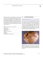 Ebook Atlas of anatomic pathology Part 2
