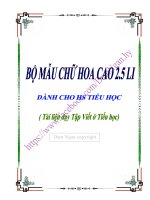 Bộ chữ hoa mẫu cao 2,5 li dành cho học sinh Tiểu học (tài liệu dạy tập viết CNGD)
