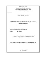 Chính sách phát triển ngành sản xuất thép việt nam