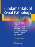 Ebook Fundamentals of renal pathology (2nd edition) Part 1