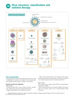 Ebook Medical microbiology and infection at a glance (4th edition) Part 2