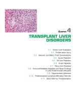 Ebook Liver pathology  An atlas and concise guide Part 2