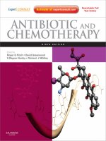 Ebook Antibiotic and chemotherapy expert consult (9th edition) Part 1
