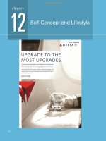 Ebook Consumer behavior  Building marketing strategy (13th edition) Part 2