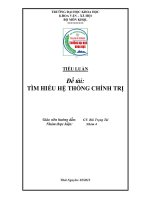 Tiểu luận Tìm hiểu hệ thống chính trị