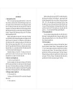 Tác động của chính sách tỷ giá đến thu hút vốn đầu tư trực tiếp nước ngoài ở việt nam (tt)