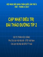 CẬP NHẬT ĐIỀU TRỊ  ĐÁI THÁO ĐƯỜNG TÍP 2, GS.TS TRẦN HỮU DÀNG Phó Chủ tịch Hội Nội tiết - ĐTĐ Việt Nam, Chủ tịch Hội Nội tiết ĐTĐ TT Huế