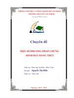 19 MOT SO PHUONG PHAP CHUNG  MINH BAT DANG THUC- Nguyen Thi Hien - LVT