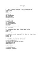 Tiểu luận Đề tài Flavonoid