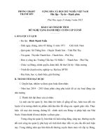 BAO CAO THANH TICH DE NGHI TANG DANH HIEU CHIEN SY THI DUA