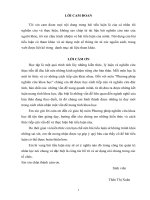 Bài Tiểu Luận  Nghiên cứu khoa học - Quản trị nhân sự