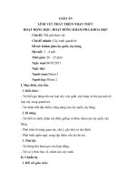 GIÁO án khám phá cây quất ,HOẠT ĐÔNG KHÁM PHÁ KHOA HỌC,thế giới thực vực