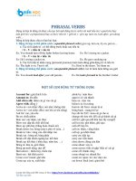 Lý thuyết và BT trắc nghiệm phrasal verbs có đáp án