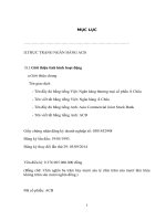 Tìm hiểu hoạt động tài trợ nhập khẩu tại  ngân hàng thương mại cổ phần á châu ACB