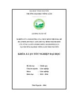 Nghiên cứu ảnh hưởng của chất kích thích ra rễ IBA đến sự hình thành cây homtùng la hán tại đại học nông lâm thái nguyên 