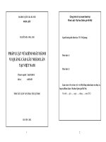 LKT-Nguyễn Phương Anh-Pháp luật về kiểm soát hành vi quảng cáo gây nhầm lẫn tại Việt Nam