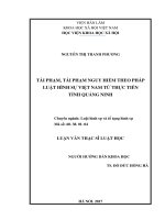 Tái phạm, tái phạm nguy hiểm theo pháp luật hình sự Việt Nam từ thực tiễn tỉnh Quảng Ninh