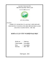 Nghiên cứu ảnh hưởng của mật độ và phân bón đến sinh trưởng của cây Bương lông Điện Biên (Dendrocalamus giganteus) tại Đoan Hùng – Phú Thọ