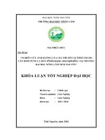 Nghiên cứu ảnh hưởng của giá thế đến khả năng hình thành cây hom tùng la hán ( podocarpus macrophyllus) tại trường đại học nông lâm thái nguyên 