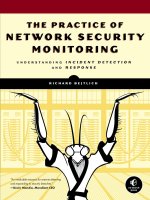 Sách bảo mật mạng cực hay  The practice of network security monitoring