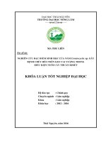 Nghiên cứu đặc điểm sinh học của nấm ceratocystis sp  gây bệnh chết héo trên keo tai tượng trong điều kiện nuôi cấy thuần khiết 