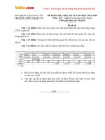 Đề thi học kì 2 môn Tin học lớp 12 trường THPT Trại Cau, Thái Nguyên năm học 2015  2016 