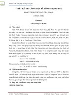 Thiết Kế Thi Công Đập Bê Tông Trọng Lực Công Trình Thủy Lợi Tân Giang ( Đoạn VIII )