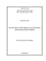 Nguyên nhân và điều kiện của các tội cờ bạc trên địa bàn tỉnh lâm đồng 