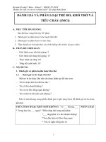 ĐÁNH GIÁ VÀ PHÂN LOẠI HO VÀ TIÊU CHẢY