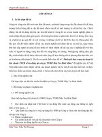 Đánh giá thực trạng áp dụng bộ tiêu chuẩn TNXH về lao động tại công ty TNHH mây tre bình minh