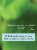 Bài Giảng The Moringa Tree (Moringa Oleifera)