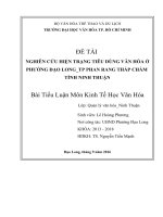 Nghiên Cứu Hiện Trạng Tiêu Dùng Văn Hóa Ở Phường Đạo Long_Tp Phan Rang Tháp Chàm Tỉnh Ninh Thuận