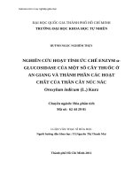 Nghiên cứu hoạt tính ức chế enzym α glucosidase của một số cây thuốc ở an giang và thành phần các hoạt chất của thân cây núc nác oroxylum indicum (l ) kurz 