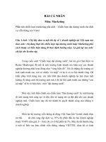 Phân tích chiến lược marketing phá cách – chiến lược đại dương xanh cho dịch vụ viễn thông của vietel