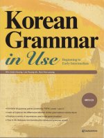 Korean grammar in use beginning to early intermediate