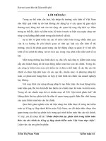 Đề tài hoàn thiện thủ tục phân tích trong kiểm toán báo cáo tài chính do công ty hợp danh kiểm toán việt nam thực hiện 