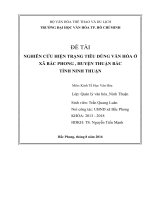 Nghiên Cứu Hiện Trạng Tiêu Dùng Văn Hóa Ở Xã Bắc Phong , Huyện Thuận Bắc Tỉnh Ninh Thuận