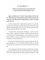 Bài tập lớn marketing về chiến lược đại dương xanh của vietel