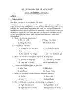 ĐỀ CƯƠNG ôn tập hè môn ngữ văn