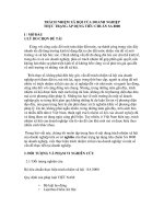 Chuyên đề trách nhiệm xã hội của doanh nghiệp thực trạng áp dụng tiêu chuẩn SA 8000