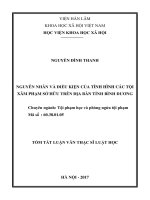 Nguyên nhân và điều kiện của tình hình các tội xâm phạm sở hữu trên địa bàn tỉnh bình dương (tóm tắt)