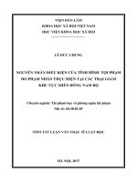 Nguyên nhân và điều kiện của tình hình tội phạm do phạm nhân thực hiện tại các trại giam khu vực miền đông nam bộ (tt) 