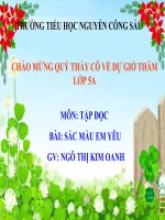 Bài Giảng SẮC MÀU EM YÊU – Tập Đọc Lớp 5