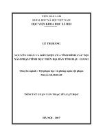 Nguyên nhân và điều kiện của tình hình các tội xâm phạm tình dục trên địa bàn tỉnh hậu giang (tóm tắt)