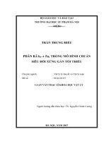 Phân rã trong mô hình chuẩn siêu đối xứng gần tối thiểu 