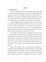 Tổ chức hoạt động thực tiễn cộng đồng cho sinh viên trường đại học xây dựng miền tây 