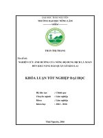 Nghiên cứu ảnh hưởng của nồng độ dung dịch lá xoan đến khả năng bảo quản gỗ keo lai  