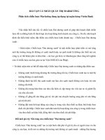 Phân tích chiến lược marketing đang áp dụng tại ngân hàng vietin bank