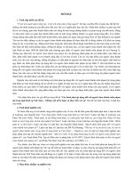 HS_Nguyễn T.Kiểm_Các hình phạt áp dụng đối với người chưa thành niên phạm tội trong luật hình sự VN những vấn đề lý luận và thực tiễn xét xử